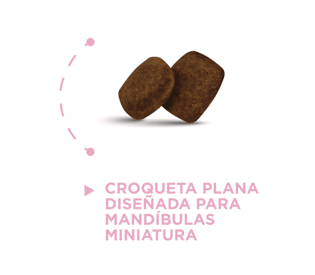 Croqueta Cachorro Razas Mini