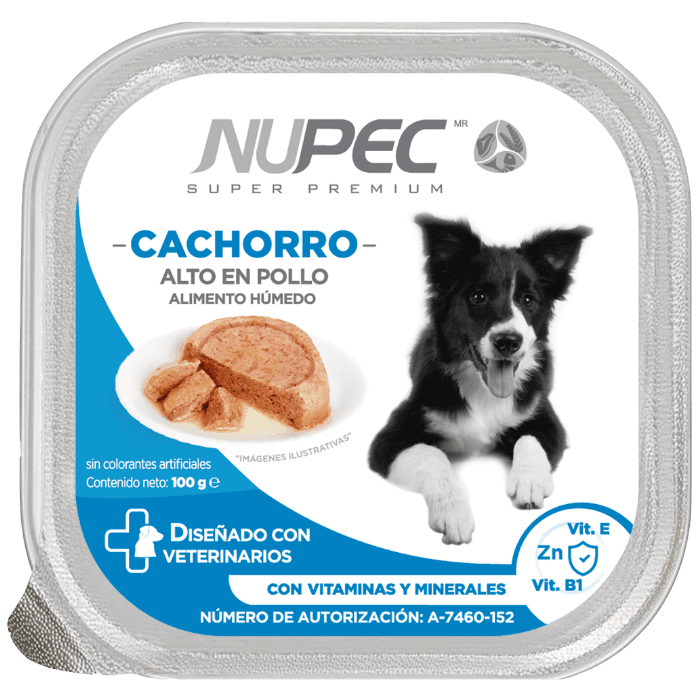 Cachorro Alimento Húmedo