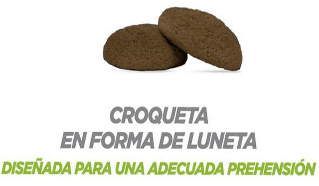 Croqueta Indoor