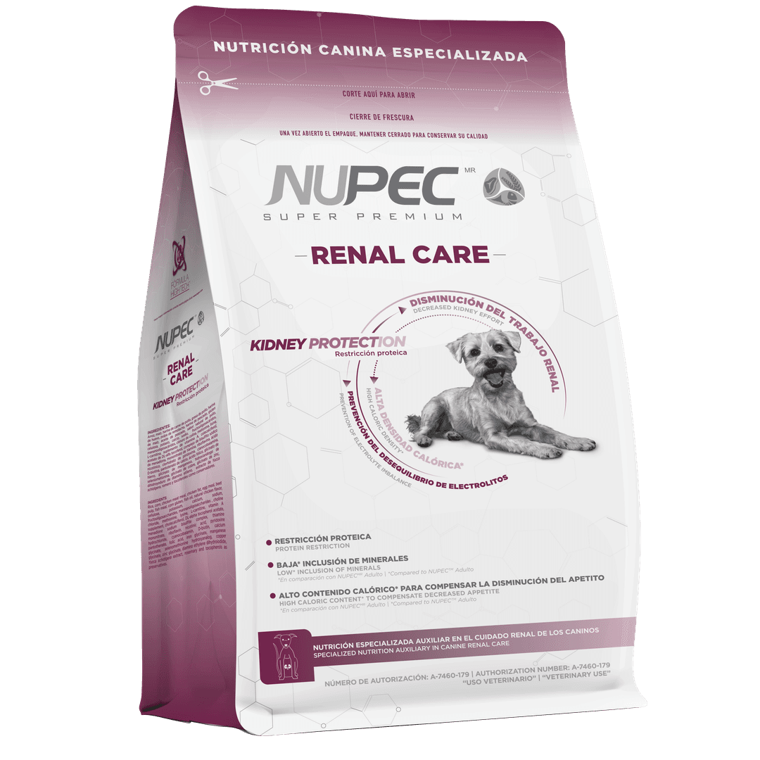 Renal Care