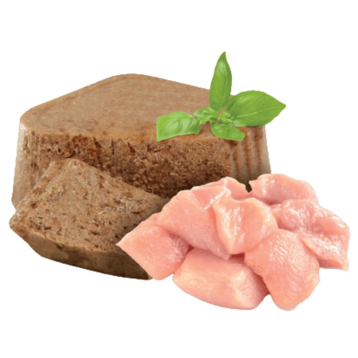 Cachorro Alimento Húmedo