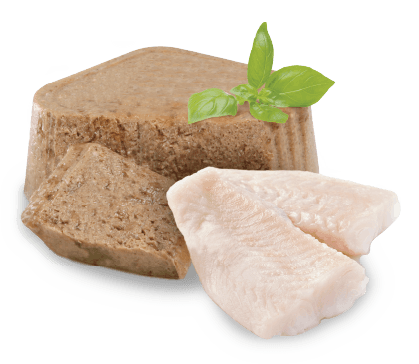 Digestive Alimento Húmedo