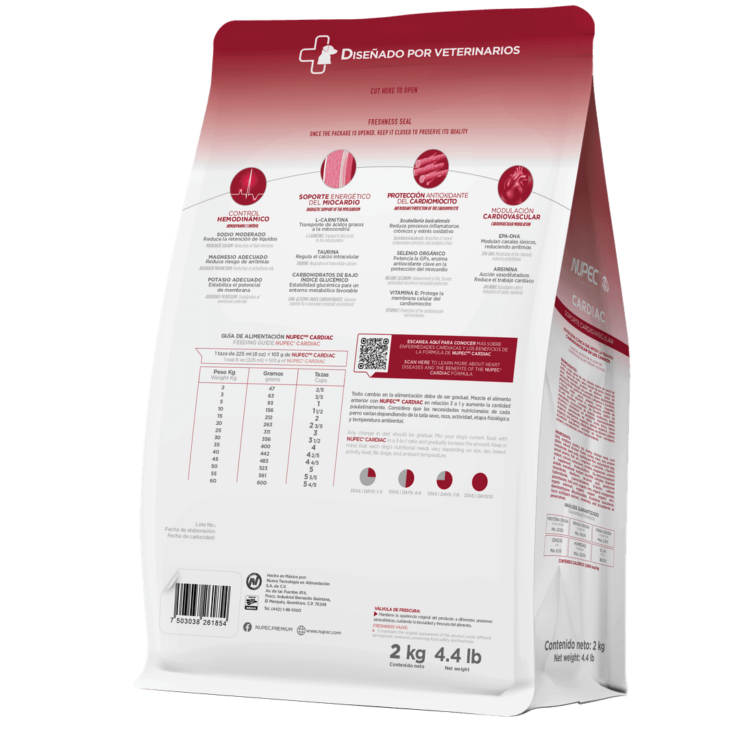 Cardiac back