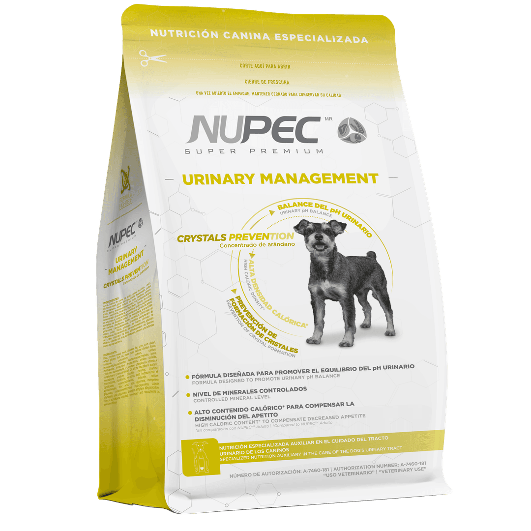 Urinary Management