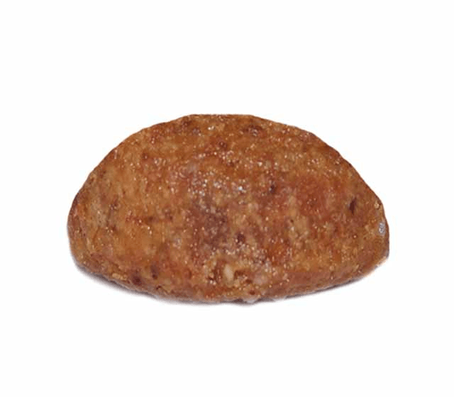 Croqueta cachorro